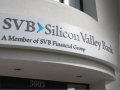 Silicon Valley Bank puts Wibke Pendse in charge of UK business