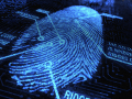 fingerprint analysis