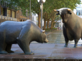 bear bull