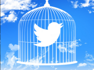 twitter cage